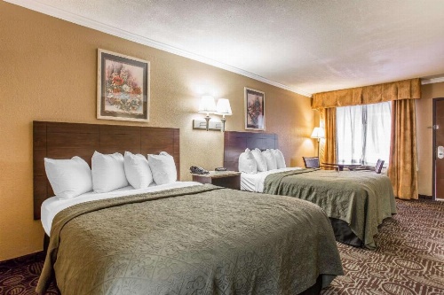 Quality Inn & Suites Ft. Jackson Maingate image 15