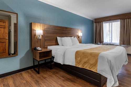 Quality Inn & Suites Ft. Jackson Maingate image 5